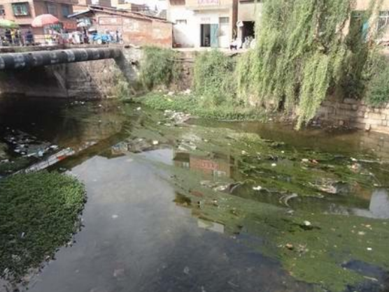 城鎮(zhèn)黑臭水體治理